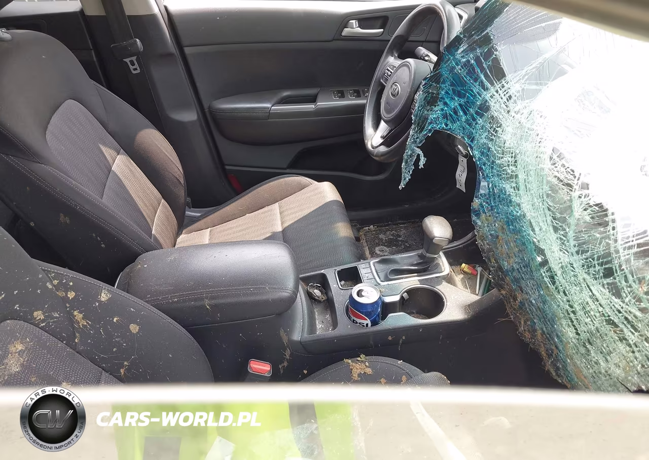 2019 Kia Sportage Lx VIN:KNDPMCAC5K7527068 - 5