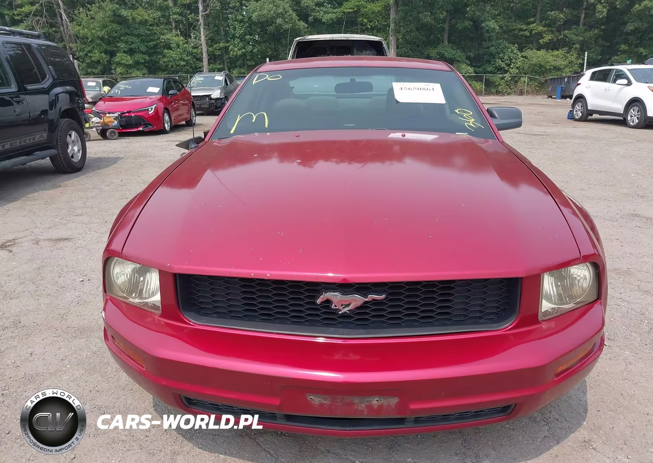 2007 Ford Mustang V6 Deluxe-V6 Premium VIN:1ZVFT80N775337142 - 12