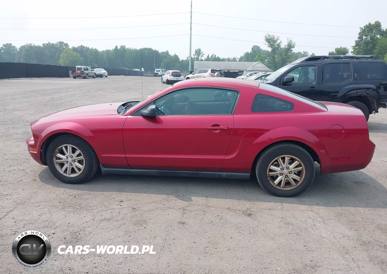 2007 Ford Mustang V6 Deluxe-V6 Premium VIN:1ZVFT80N775337142 - 14