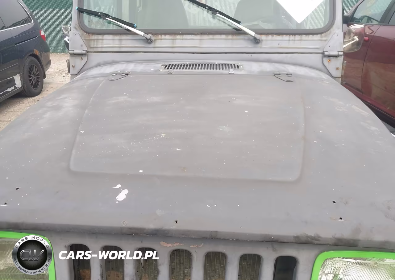 1995 Jeep Wrangler - Yj S-Rio Grande VIN:1J4FY19PXSP296769 - 10