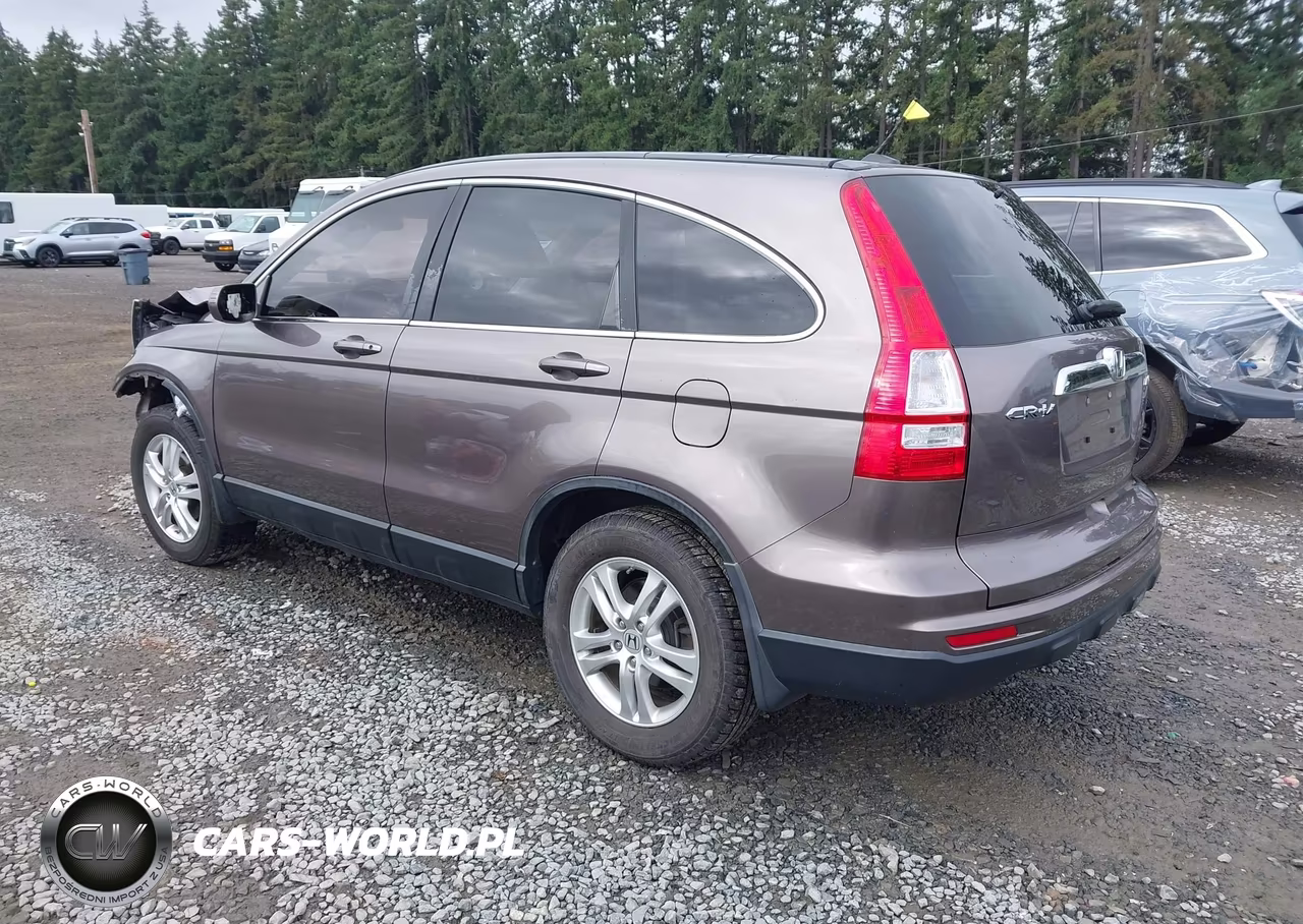 2010 Honda Cr-V Ex-L VIN:5J6RE4H7XAL086316 - 3