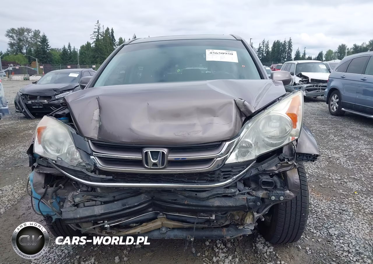 2010 Honda Cr-V Ex-L VIN:5J6RE4H7XAL086316 - 6