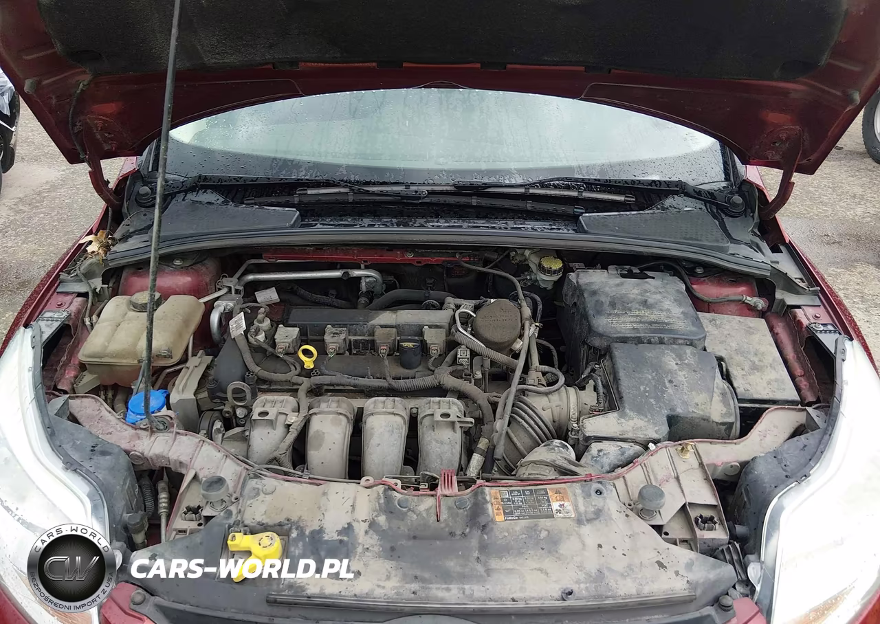 2014 Ford Focus Se VIN:1FADP3K25EL413184 - 10