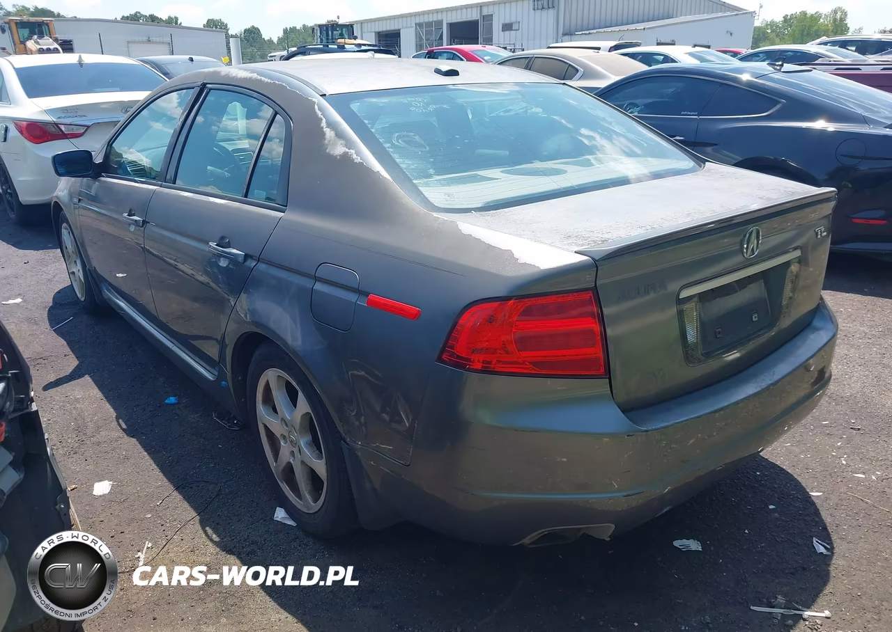 2004 Acura Tl VIN:19UUA66294A047555 - 3