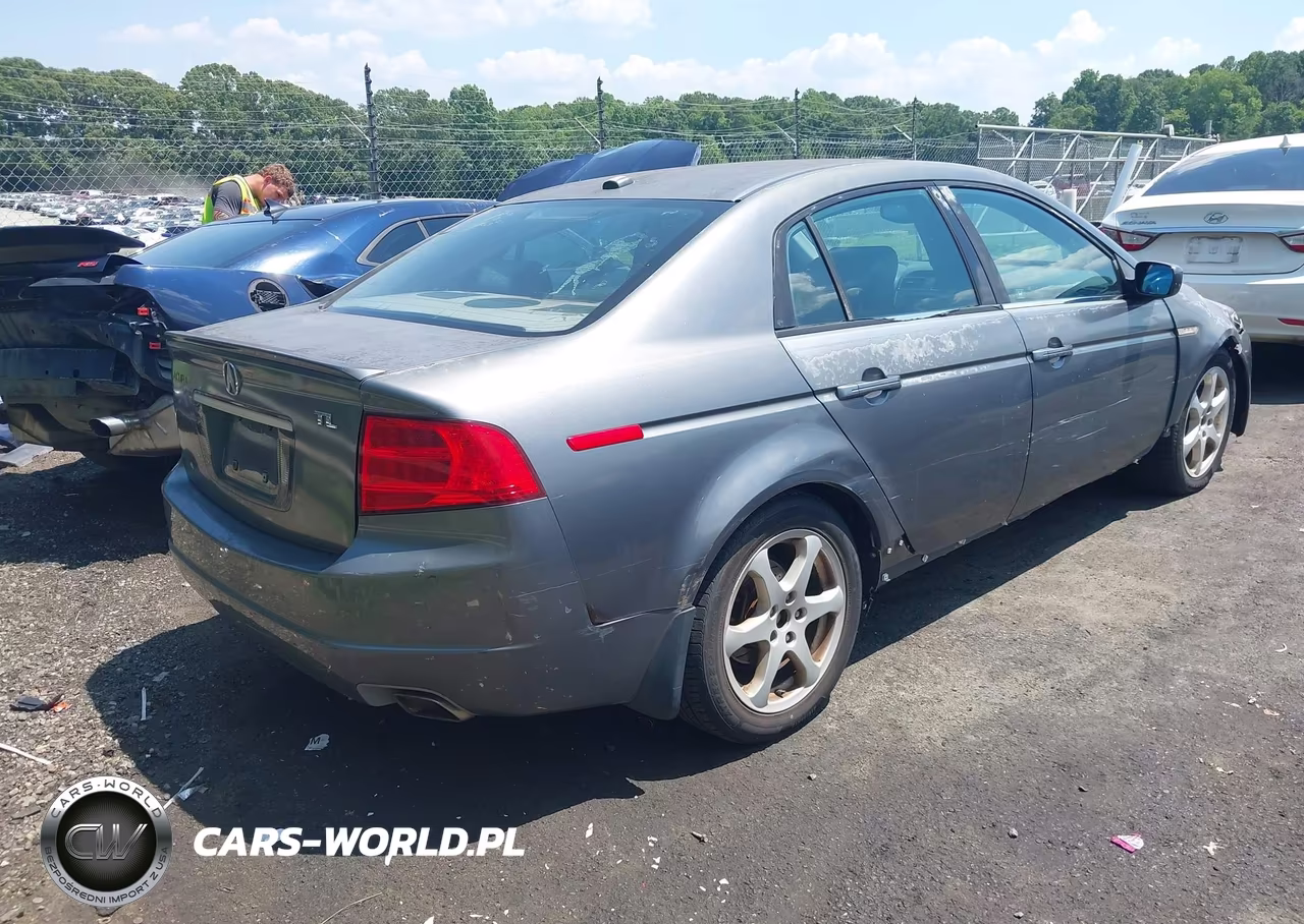 2004 Acura Tl VIN:19UUA66294A047555 - 4