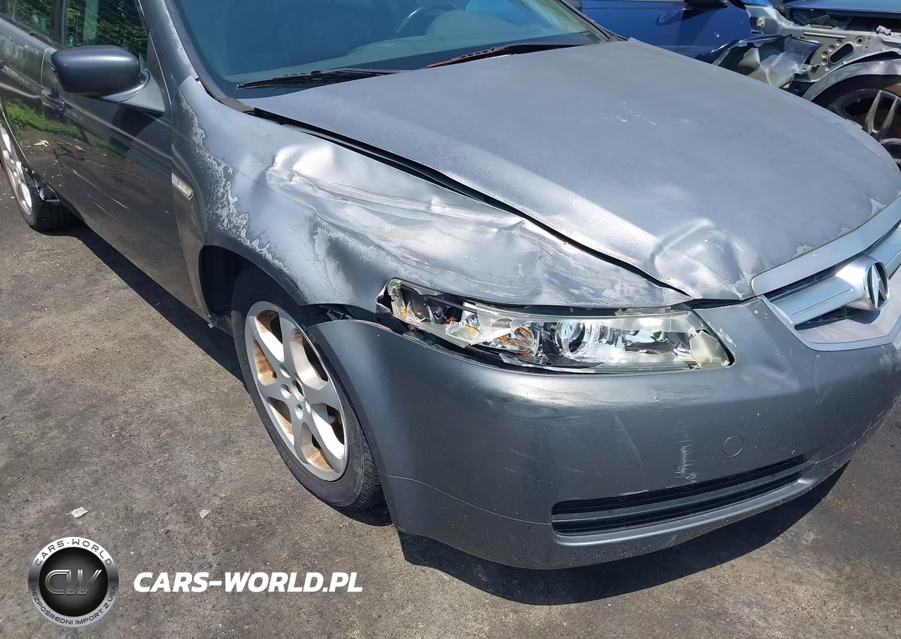 2004 Acura Tl VIN:19UUA66294A047555 - 6