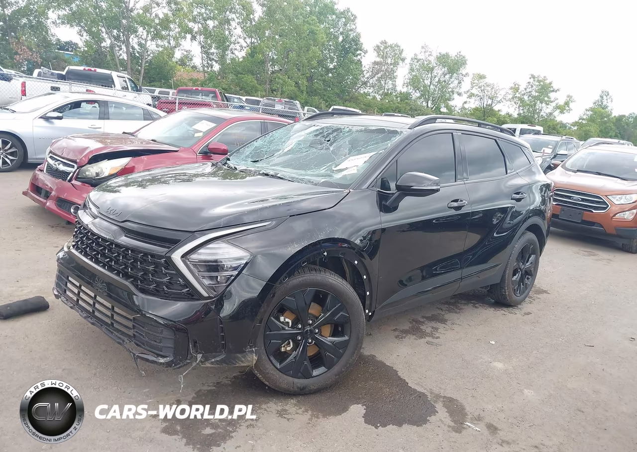 2025 Kia Sportage X-Line VIN:5XYK6CDF1SG309349 - 2