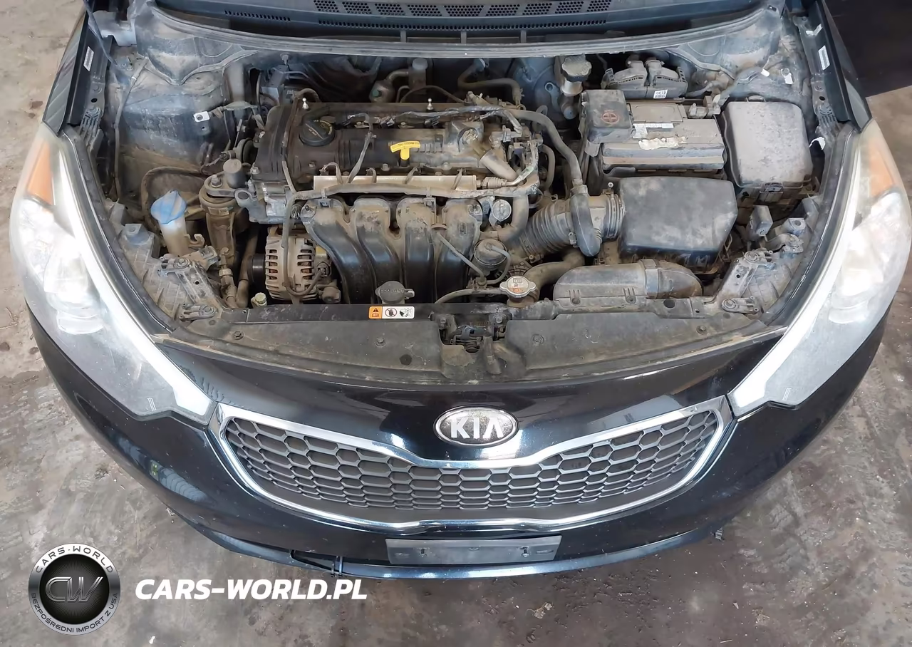 2015 Kia Forte Lx VIN:KNAFX4A69F5372350 - 10