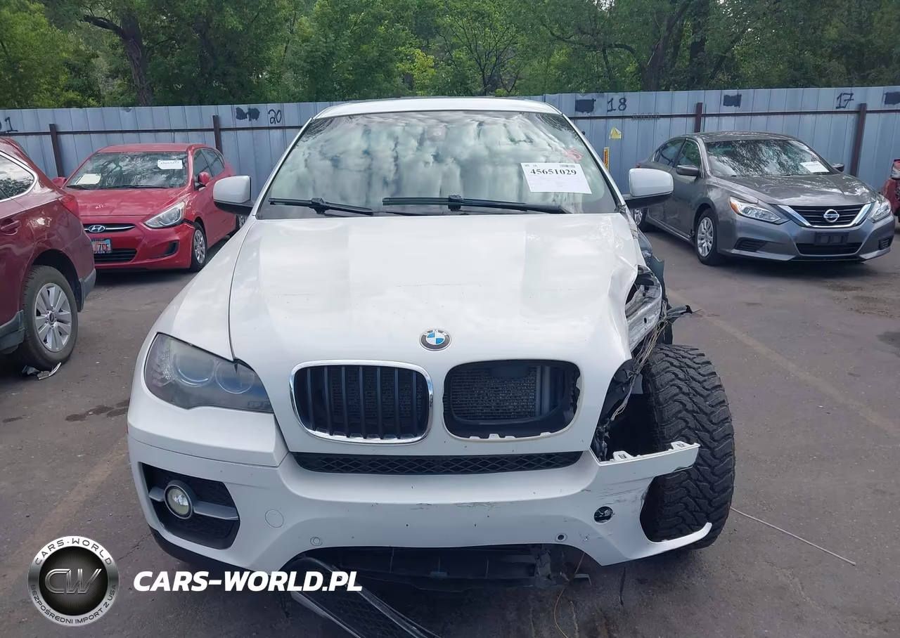 2012 BMW X6 xDrive35I VIN:5UXFG2C50CLX09988 - 12