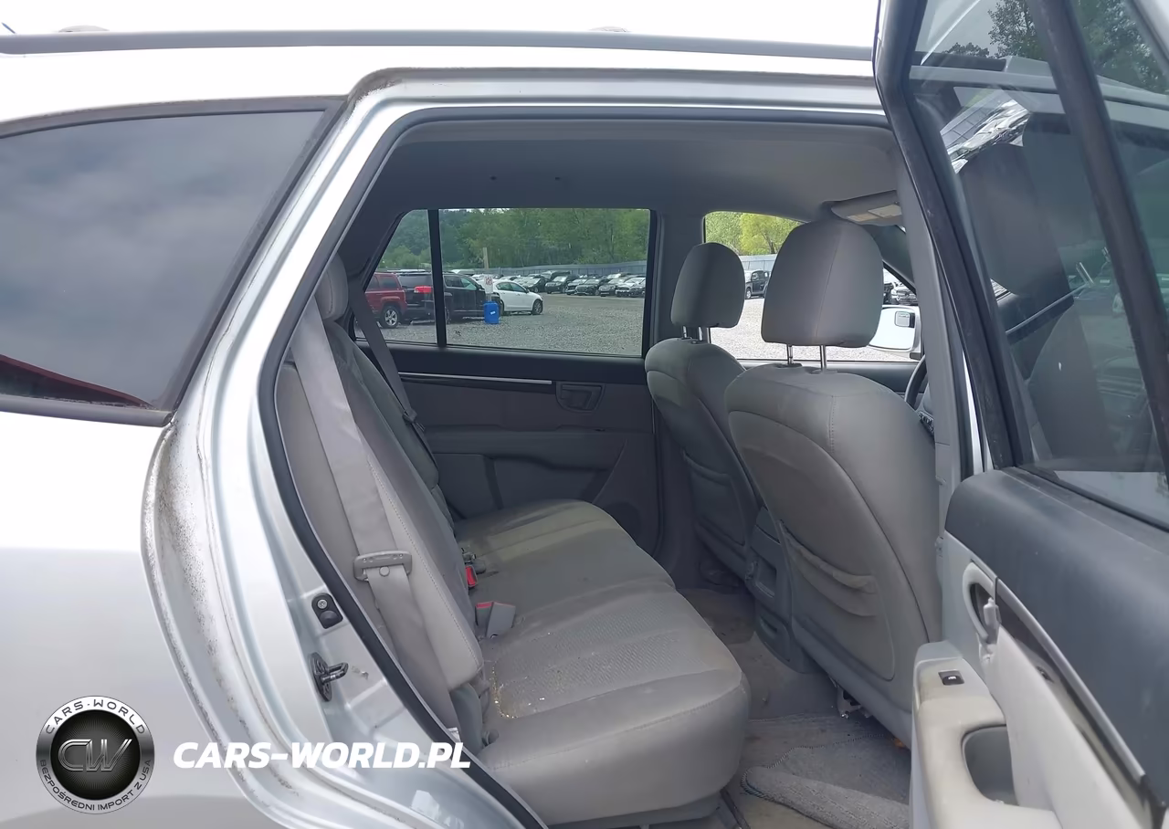 2007 Hyundai Santa Fe Gls VIN:5NMSG13D97H002476 - 8
