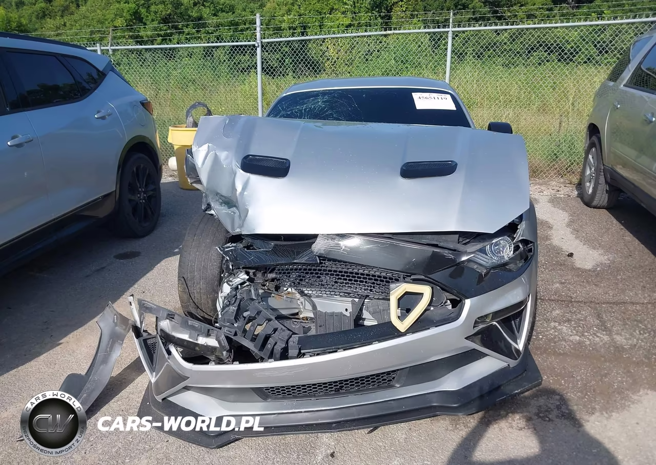 2019 Ford Mustang Ecoboost Premium VIN:1FA6P8TH2K5159751 - 12