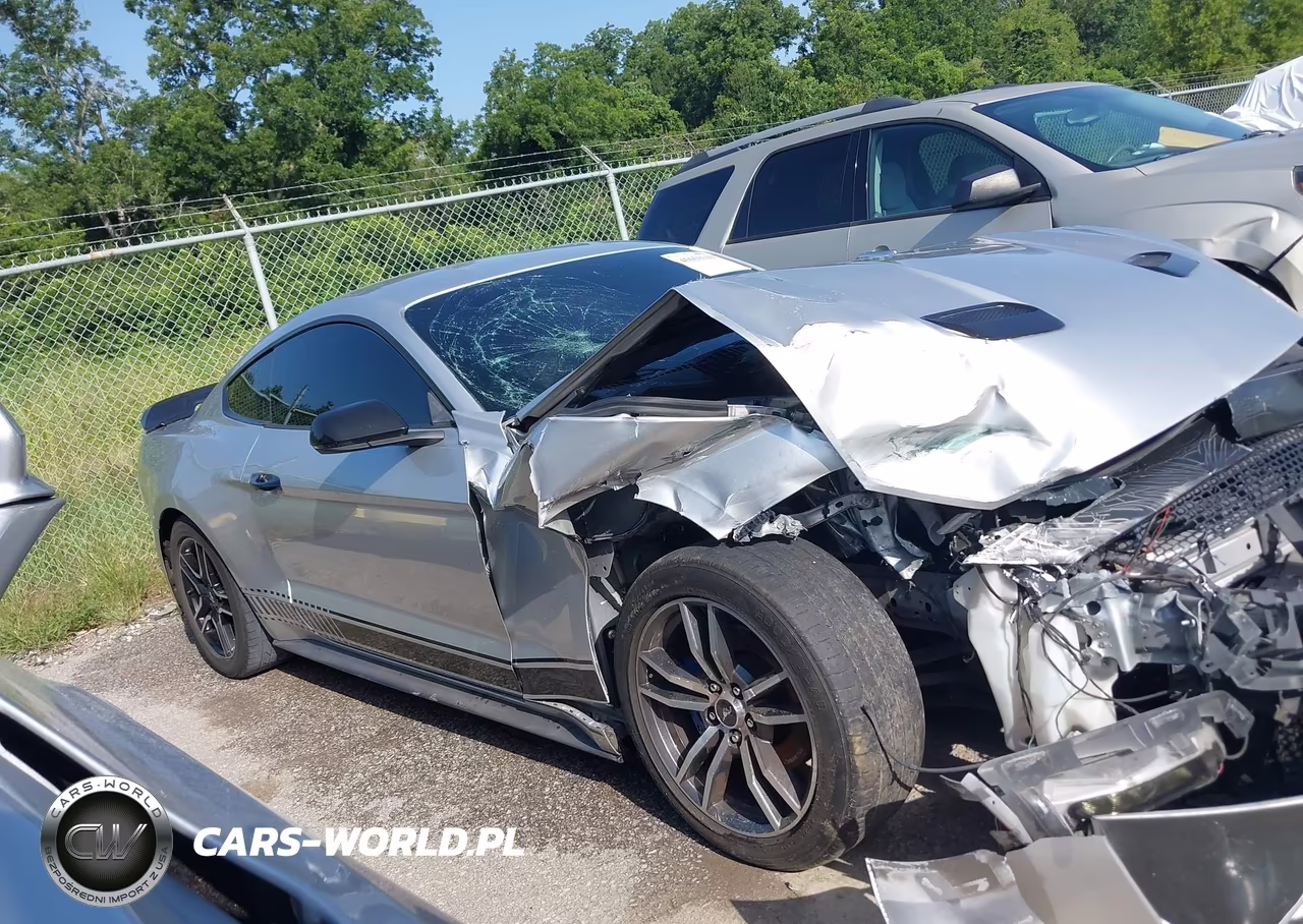 2019 Ford Mustang Ecoboost Premium VIN:1FA6P8TH2K5159751 - 13