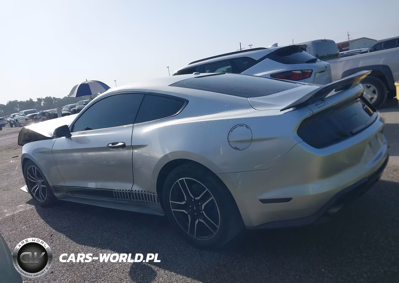 2019 Ford Mustang Ecoboost Premium VIN:1FA6P8TH2K5159751 - 14