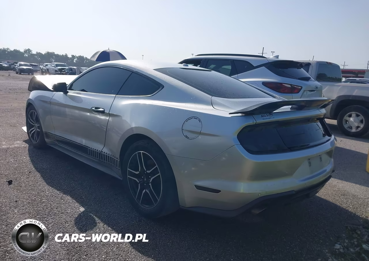 2019 Ford Mustang Ecoboost Premium VIN:1FA6P8TH2K5159751 - 3