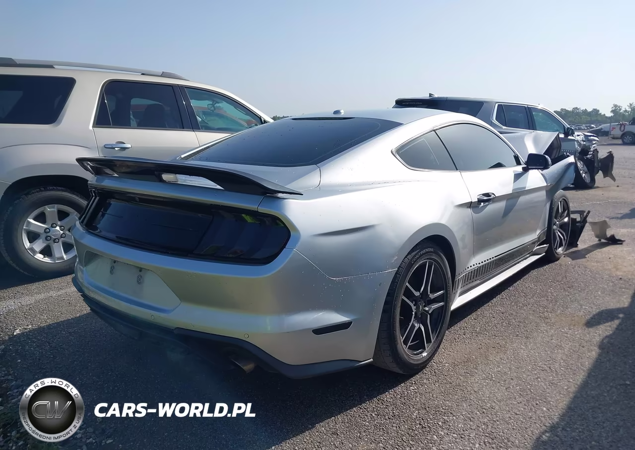 2019 Ford Mustang Ecoboost Premium VIN:1FA6P8TH2K5159751 - 4