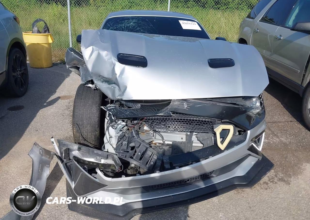 2019 Ford Mustang Ecoboost Premium VIN:1FA6P8TH2K5159751 - 6