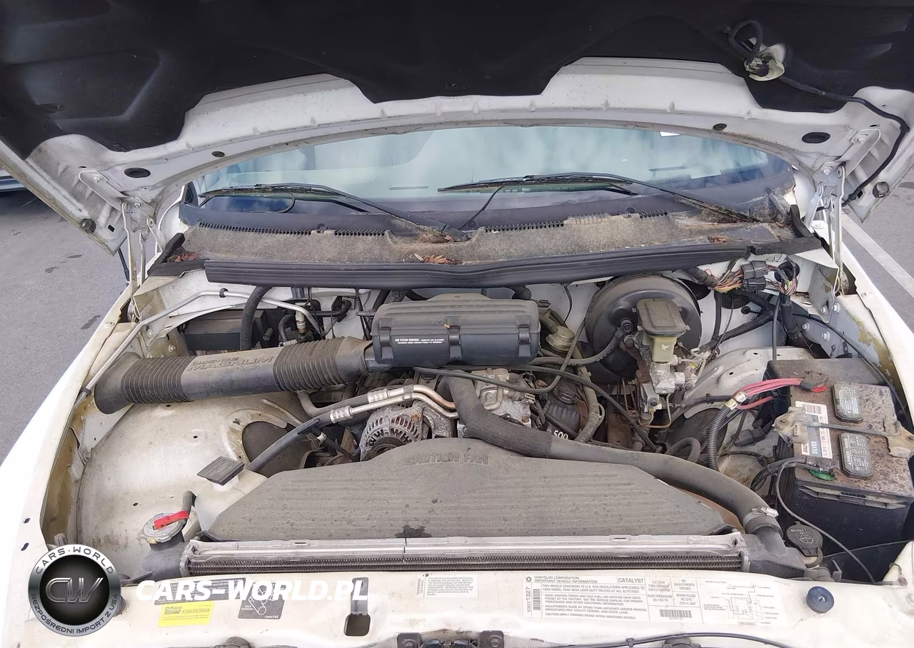 1996 Dodge Ram 1500 VIN:3B7HC13Y9TG167975 - 10