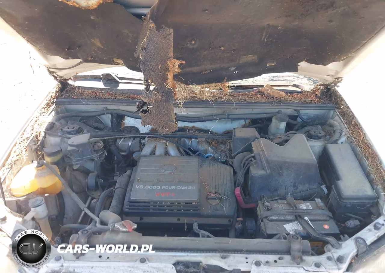 2001 Toyota Highlander V6 VIN:JTEHF21A410035111 - 10