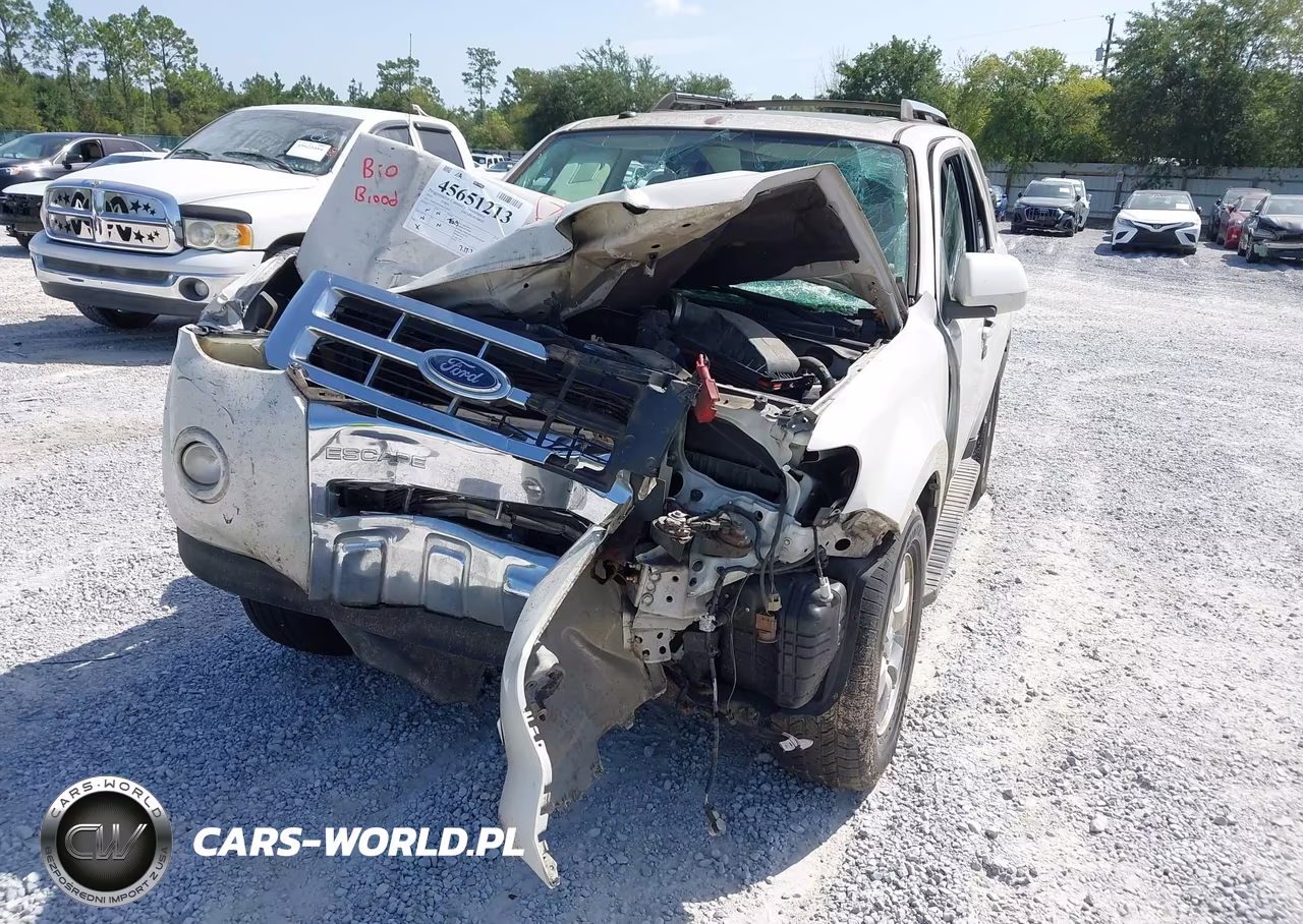 2010 Ford Escape Hybrid Limited VIN:1FMCU4K38AKA13645 - 6