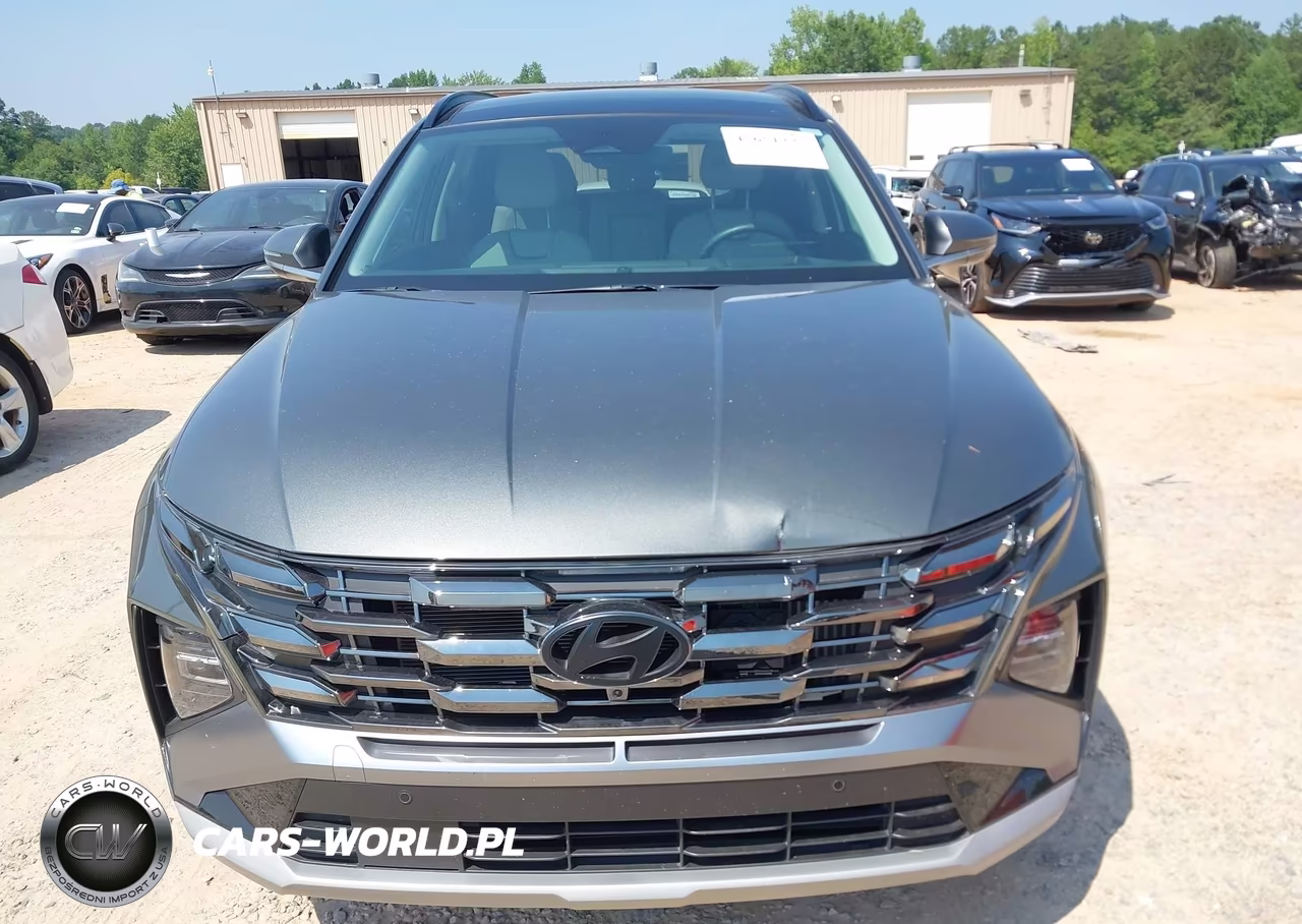 2025 Hyundai Tucson Hybrid Limited VIN:KM8JEDD18SU256250 - 12