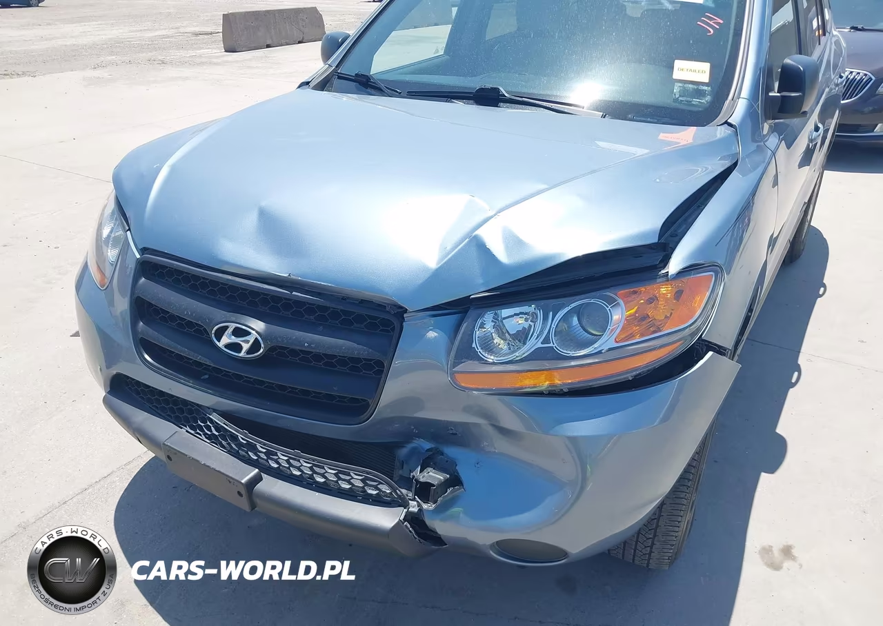 2009 Hyundai Santa Fe Gls VIN:5NMSG13D39H328700 - 6