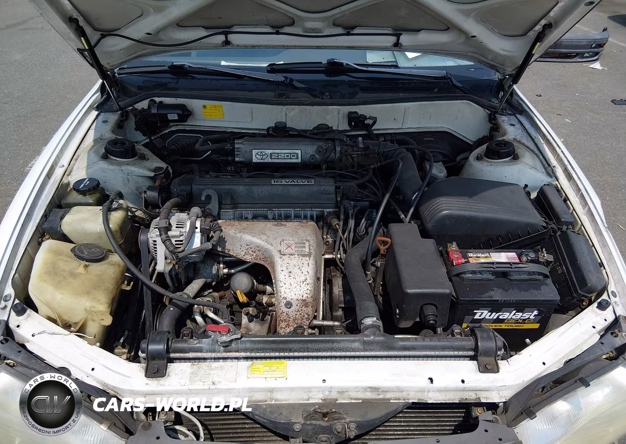 1992 Toyota Camry Le VIN:4T1SK12E6NU024591 - 10