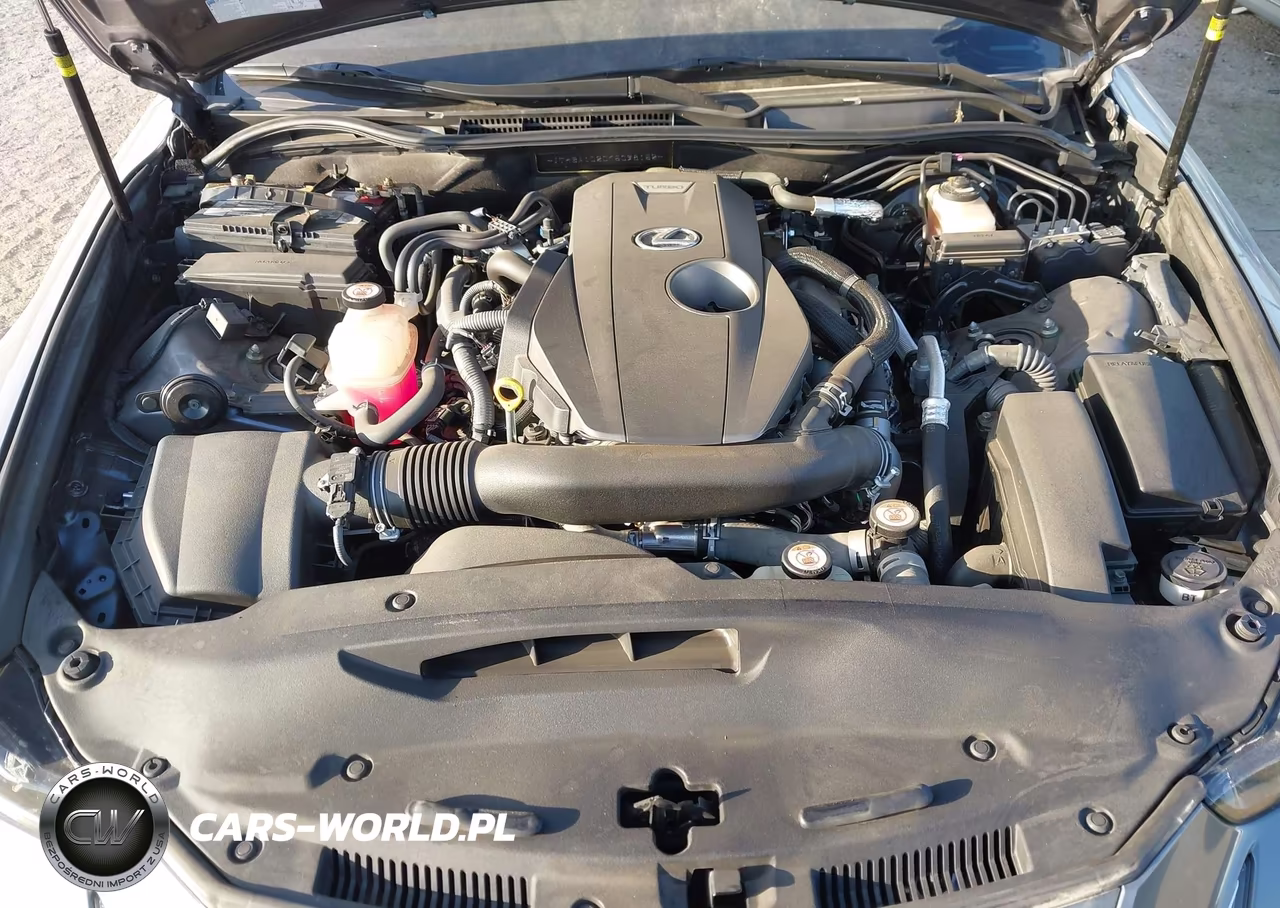 2019 Lexus Is 300 VIN:JTHBA1D20K5098152 - 10