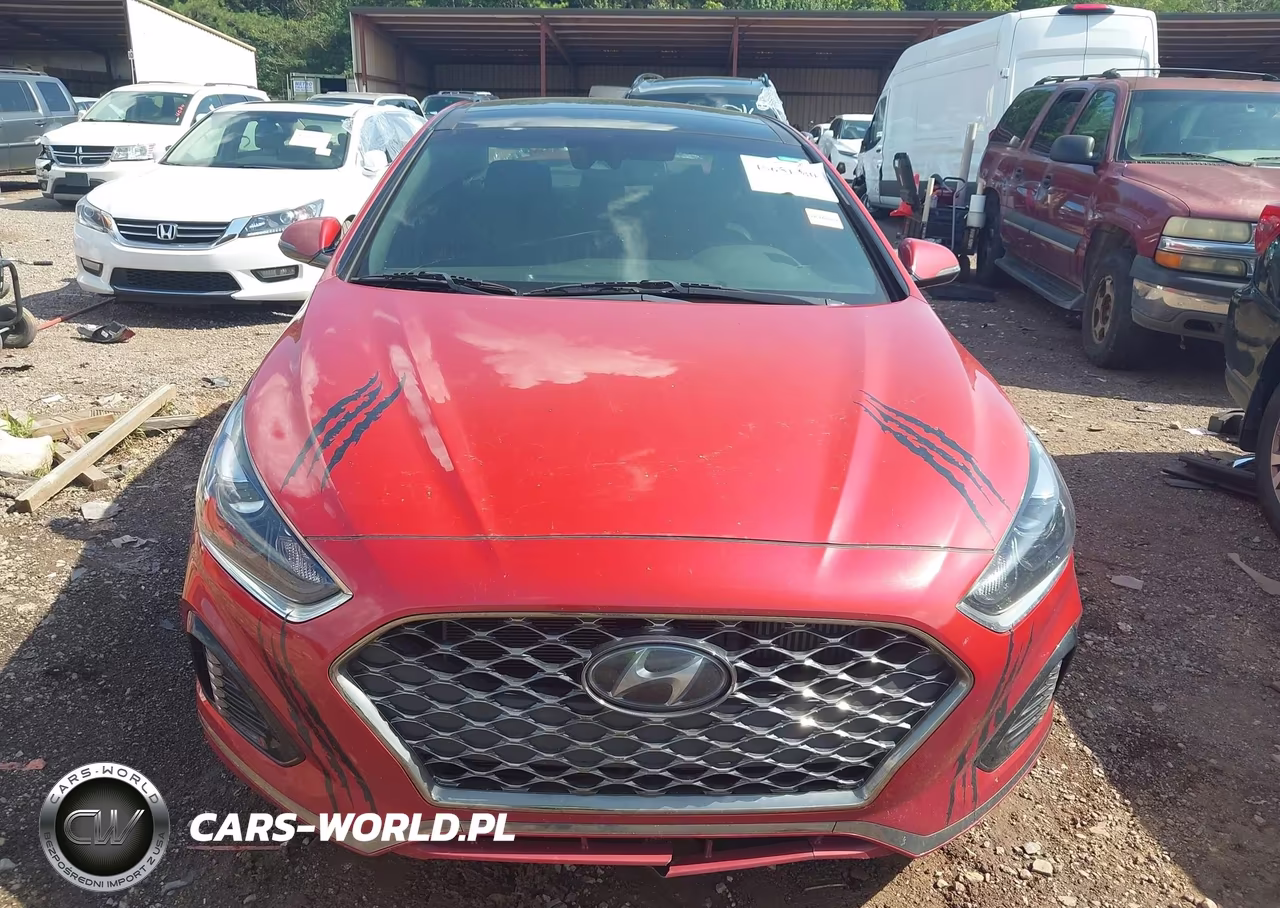 2019 Hyundai Sonata Limited 2.0T VIN:5NPE34AB7KH742115 - 13