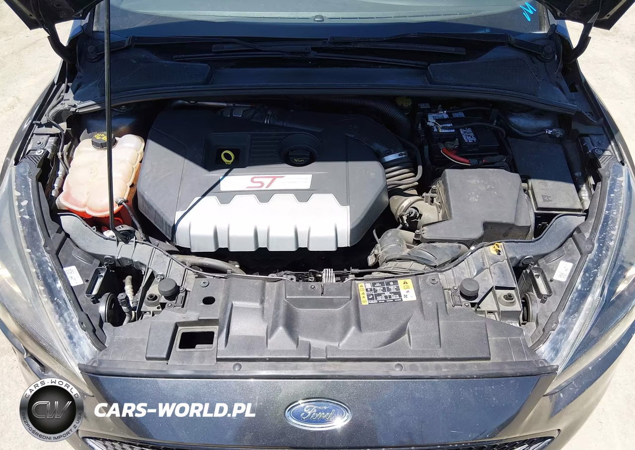 2017 Ford Focus St VIN:1FADP3L95HL258197 - 10