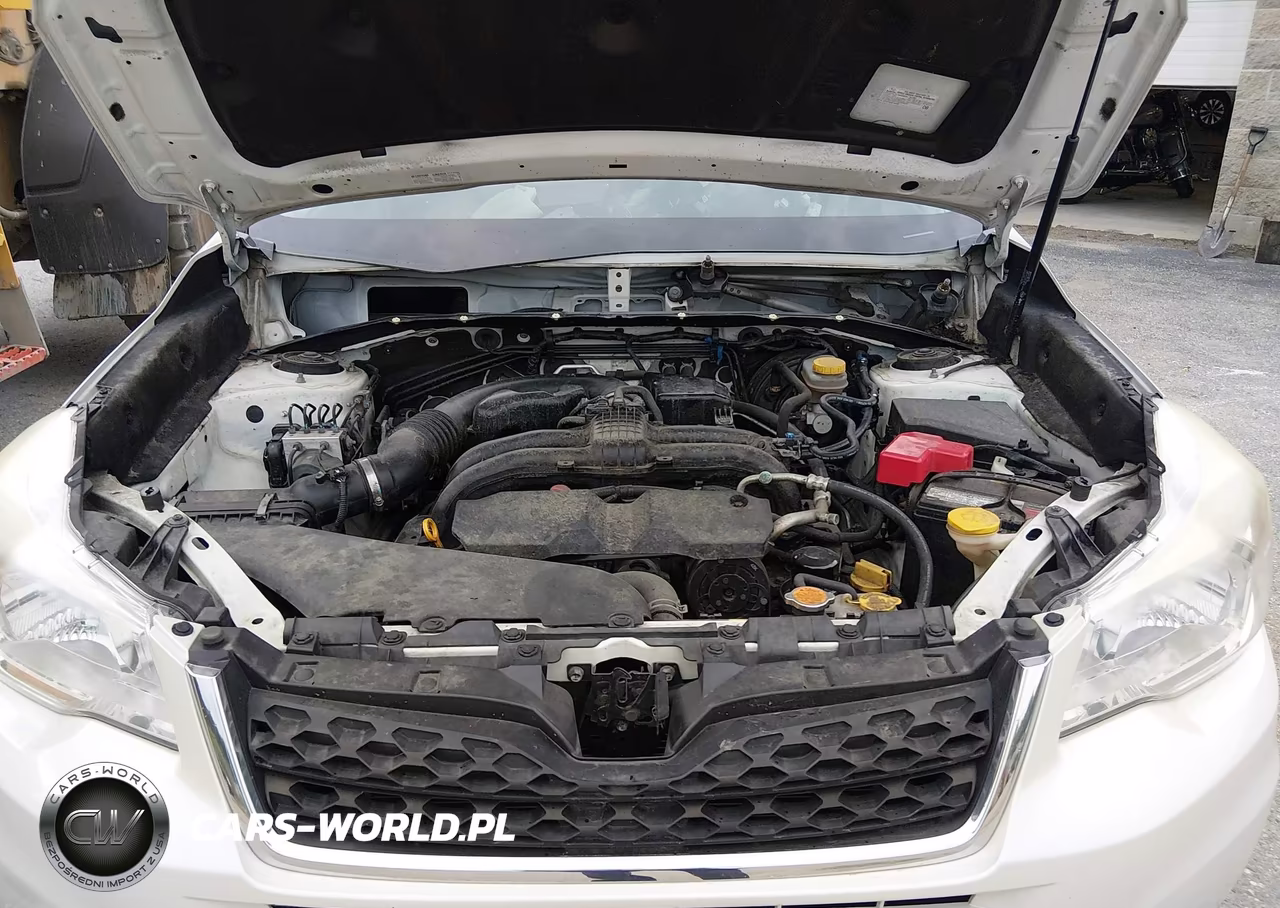 2015 Subaru Forester 2.5I Premium VIN:JF2SJADC7FH518067 - 10