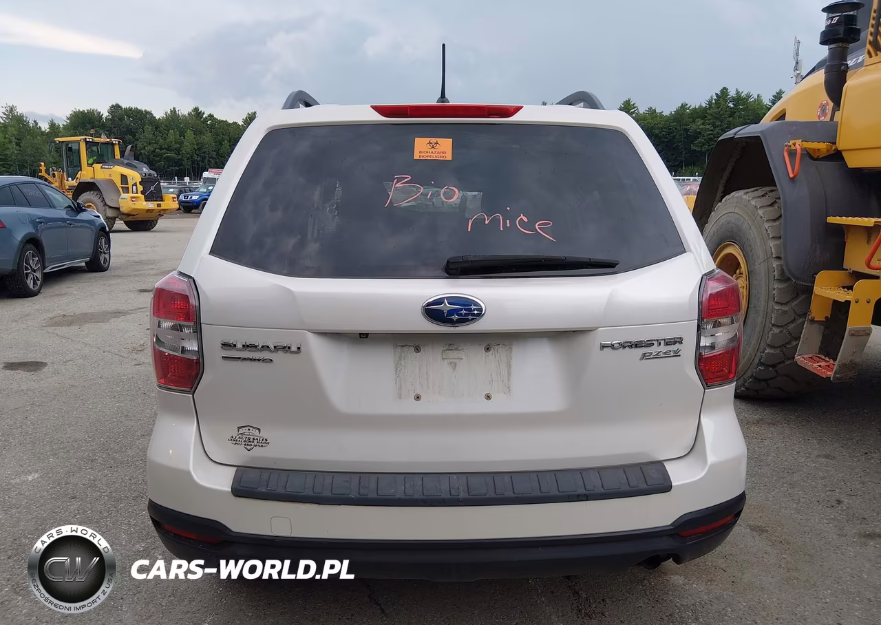 2015 Subaru Forester 2.5I Premium VIN:JF2SJADC7FH518067 - 17