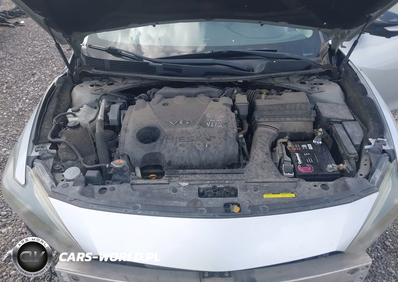 2017 Nissan Maxima 3.5 Platinum VIN:1N4AA6AP4HC449794 - 10
