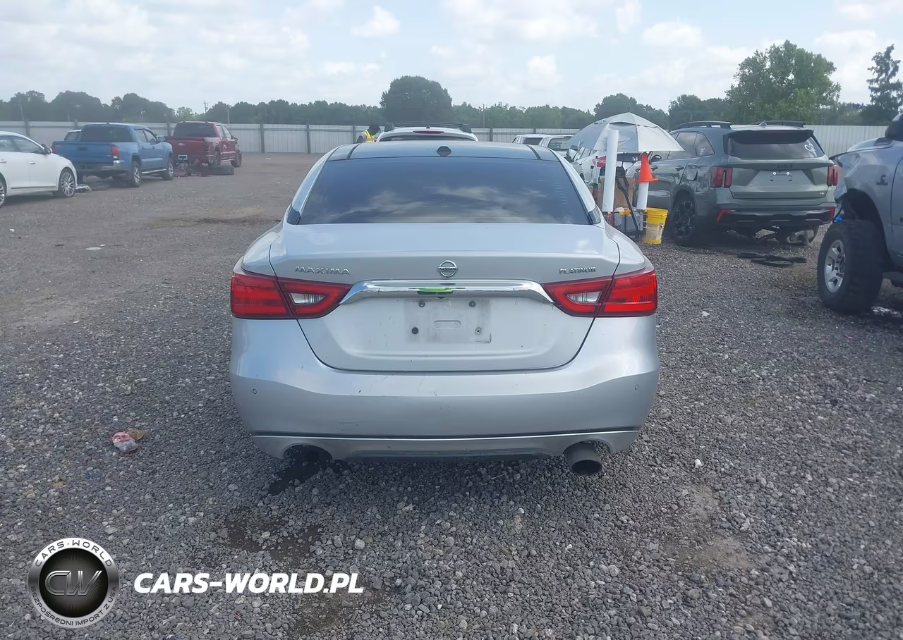 2017 Nissan Maxima 3.5 Platinum VIN:1N4AA6AP4HC449794 - 17