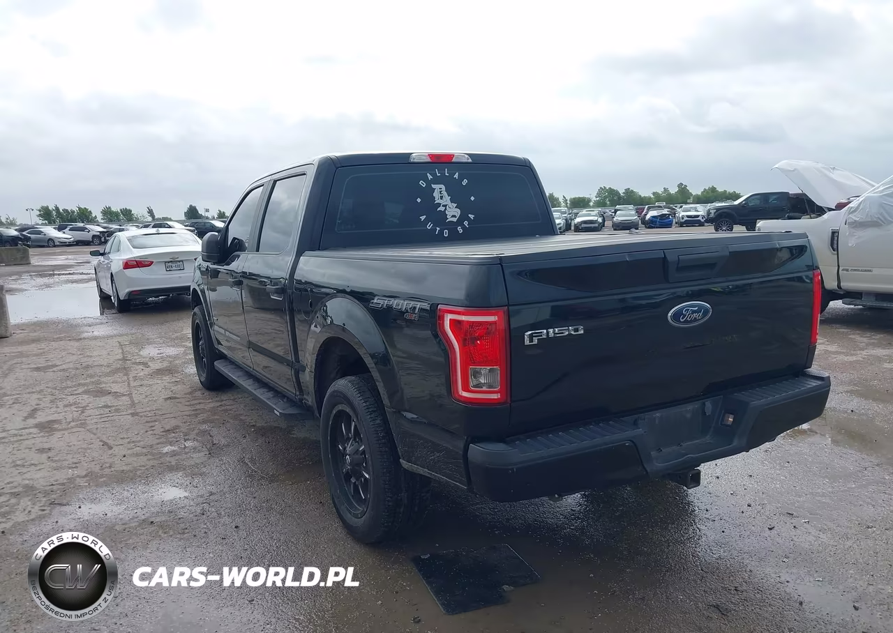 2016 Ford F-150 Lariat-Xl-Xlt VIN:1FTEW1EP2GKE02004 - 3