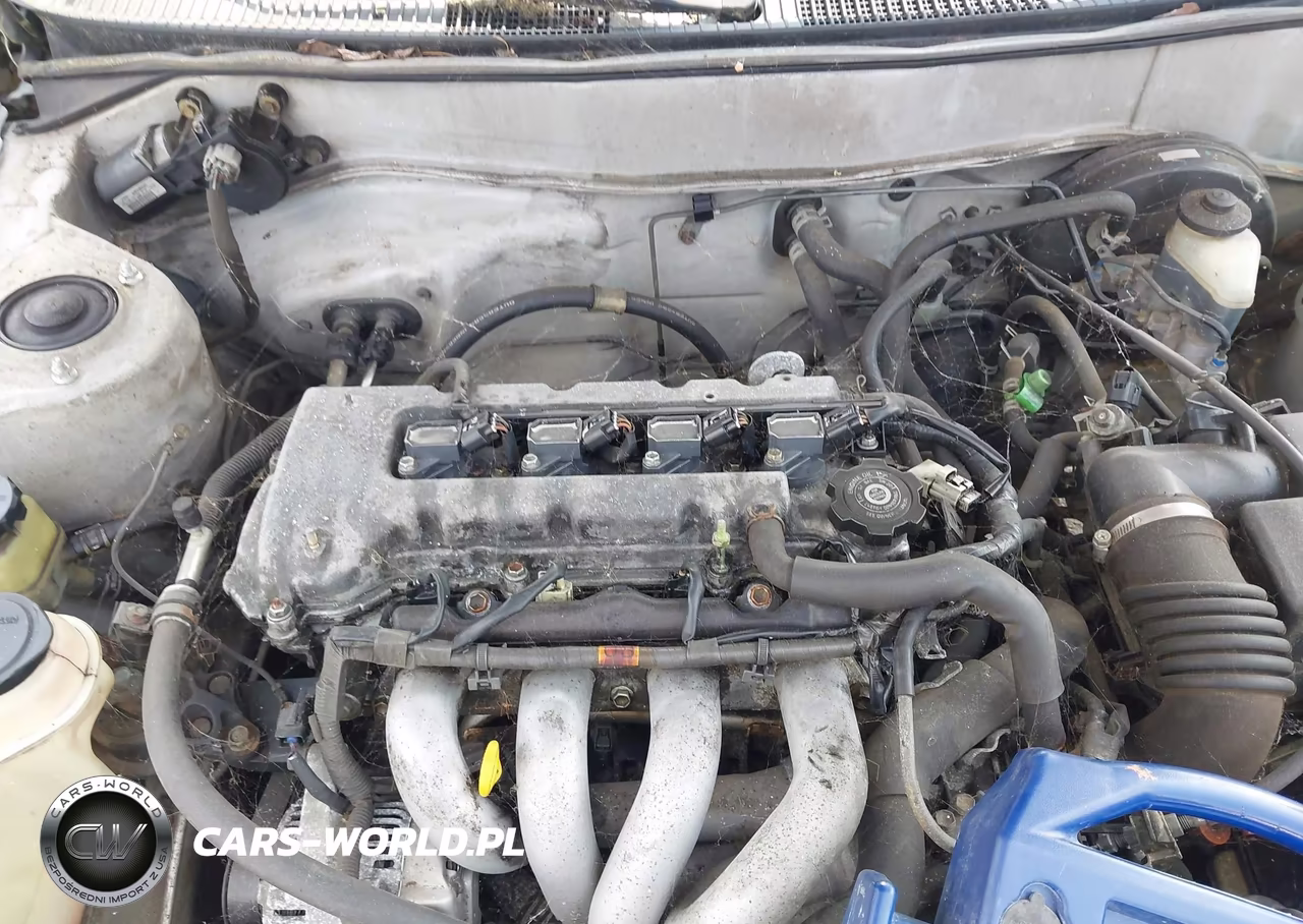 2002 Toyota Corolla Ce VIN:1NXBR12E62Z568404 - 6
