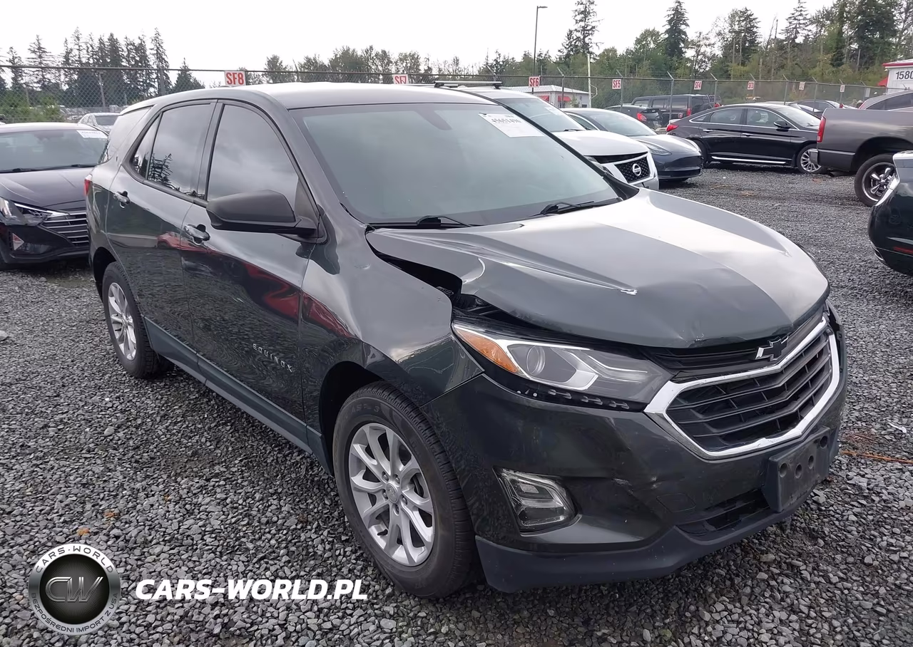 2019 Chevrolet Equinox Ls – zdjęcie 1 z 18