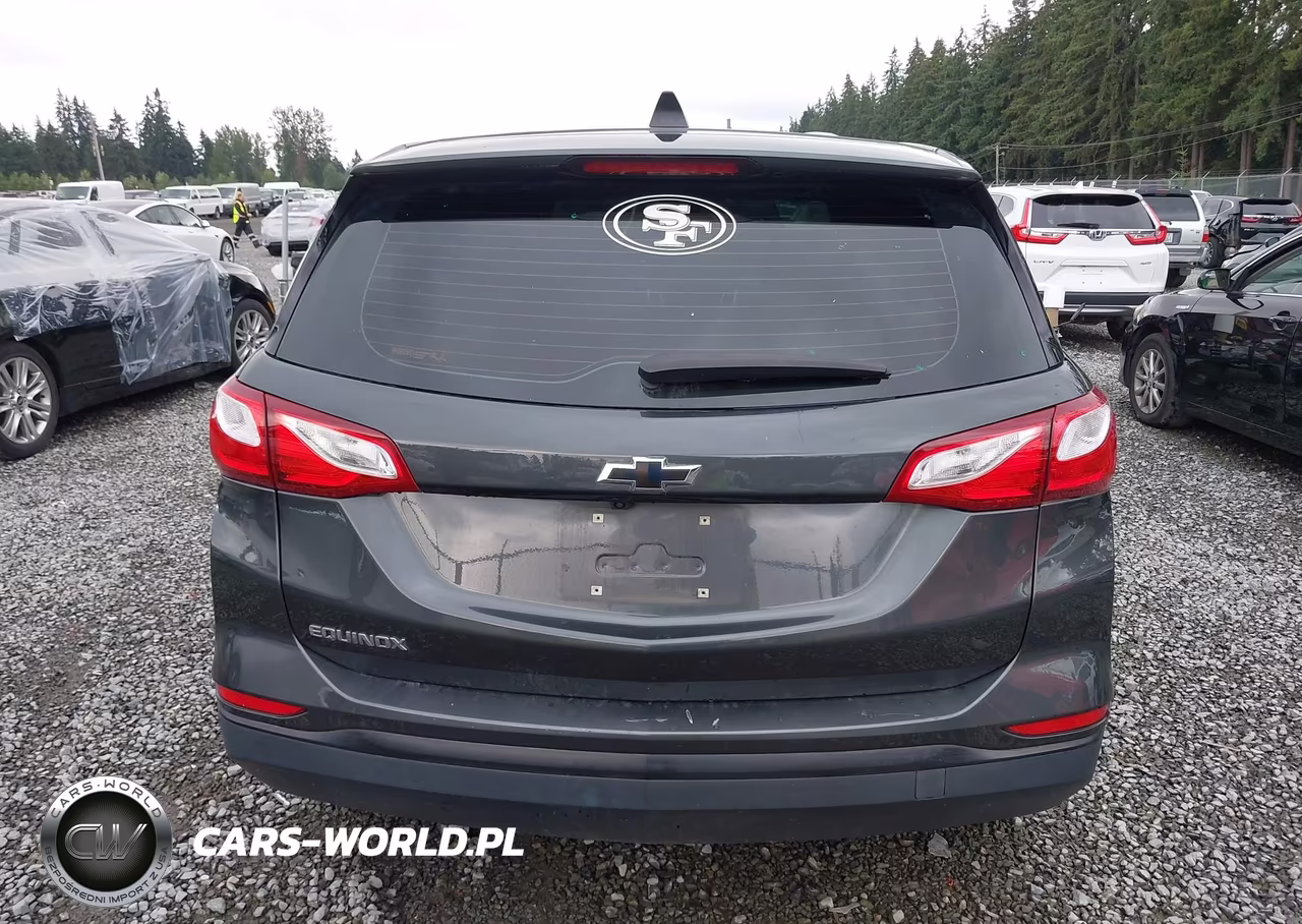 2019 Chevrolet Equinox Ls VIN:3GNAXHEVXKS654106 - 16