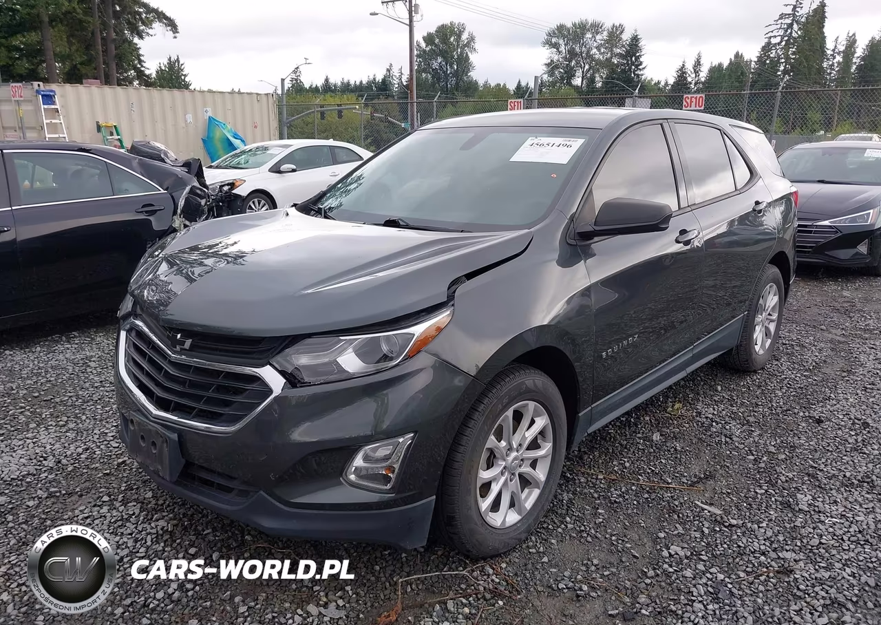 2019 Chevrolet Equinox Ls VIN:3GNAXHEVXKS654106 - 2