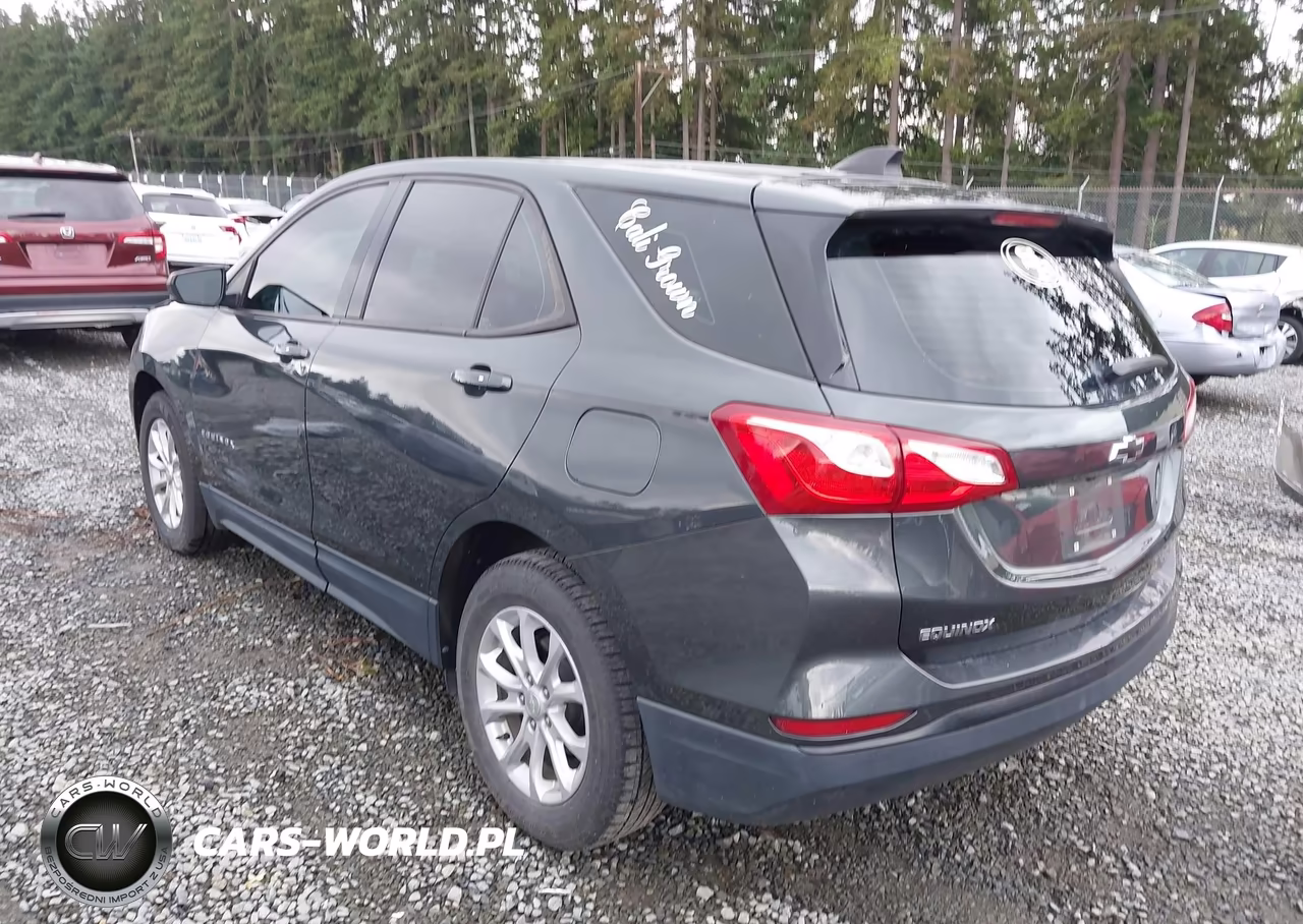 2019 Chevrolet Equinox Ls VIN:3GNAXHEVXKS654106 - 3