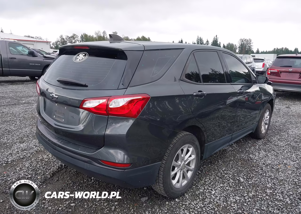 2019 Chevrolet Equinox Ls VIN:3GNAXHEVXKS654106 - 4