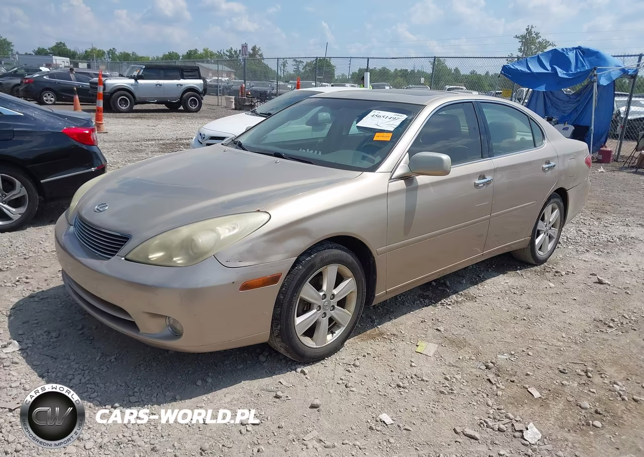 2006 Lexus Es 330 VIN:JTHBA30G365168536 - 2