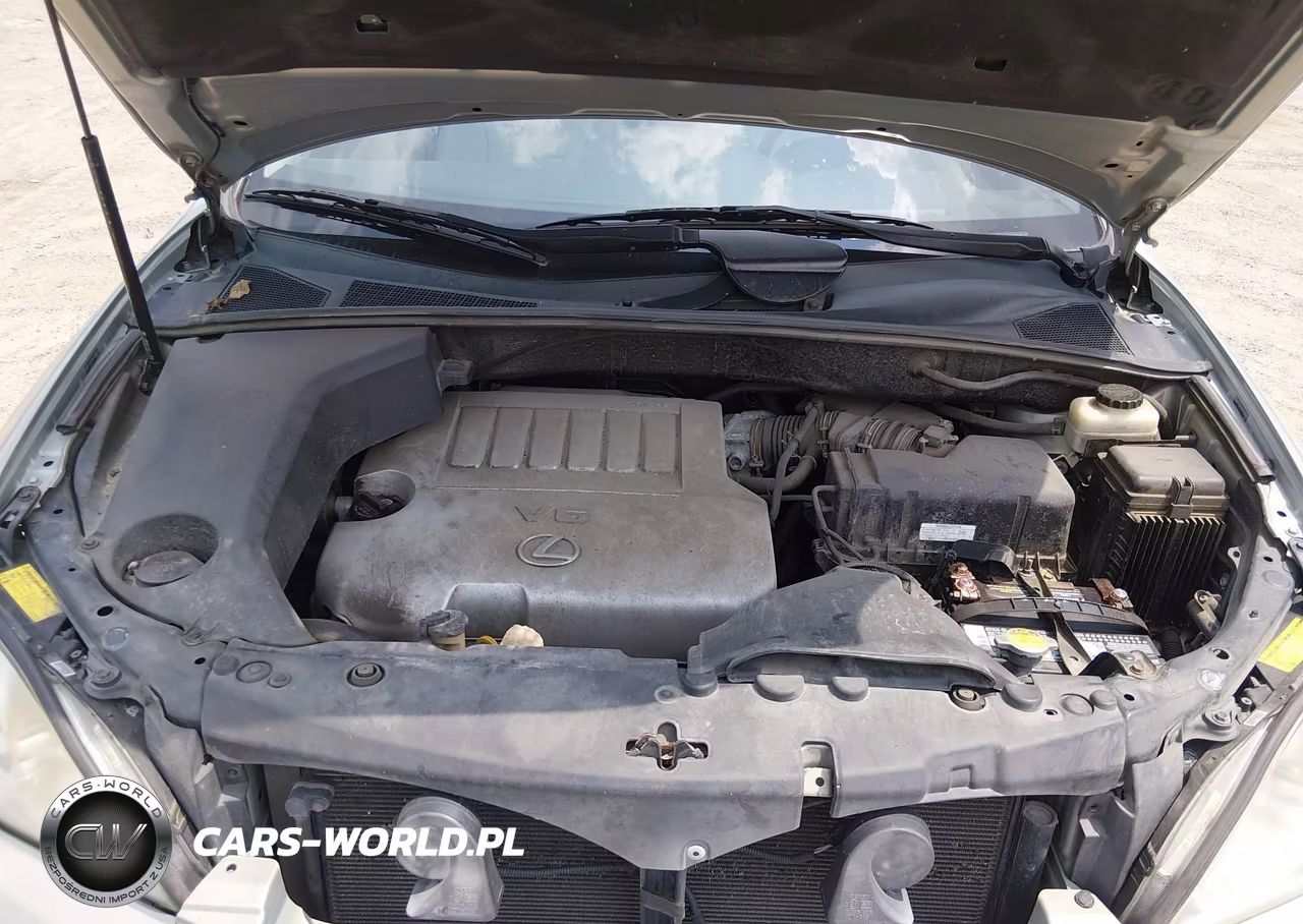 2007 Lexus Rx 350 VIN:2T2GK31U47C008870 - 10