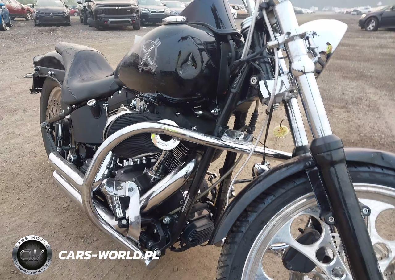2002 Harley-Davidson Fxstb VIN:1HD1BTY142Y054322 - 13