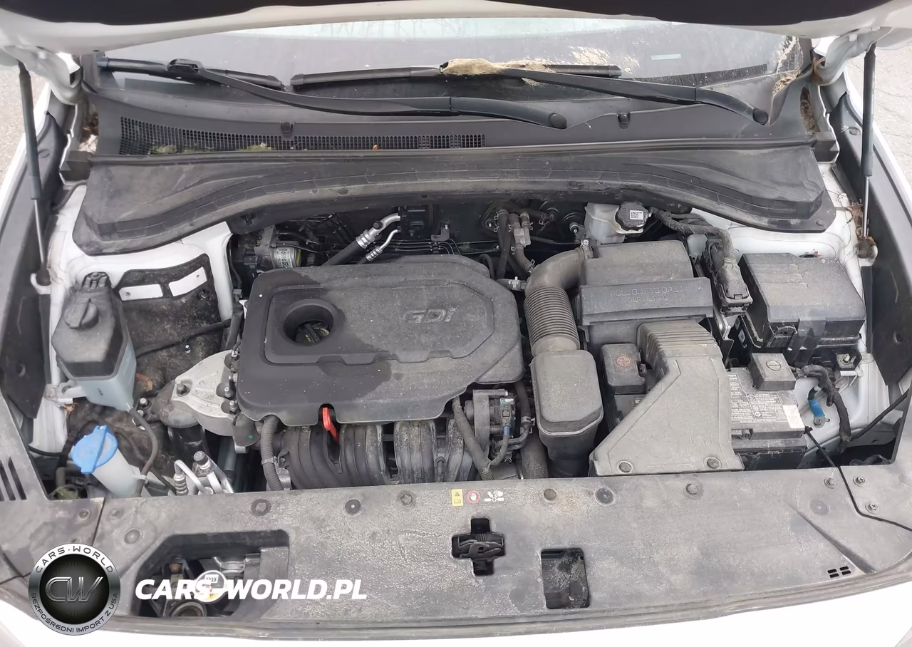 2019 Hyundai Santa Fe Se VIN:5NMS2CAD9KH132280 - 10