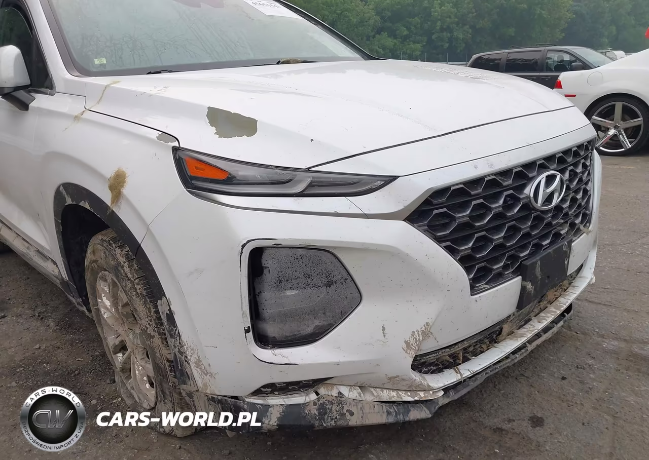 2019 Hyundai Santa Fe Se VIN:5NMS2CAD9KH132280 - 11