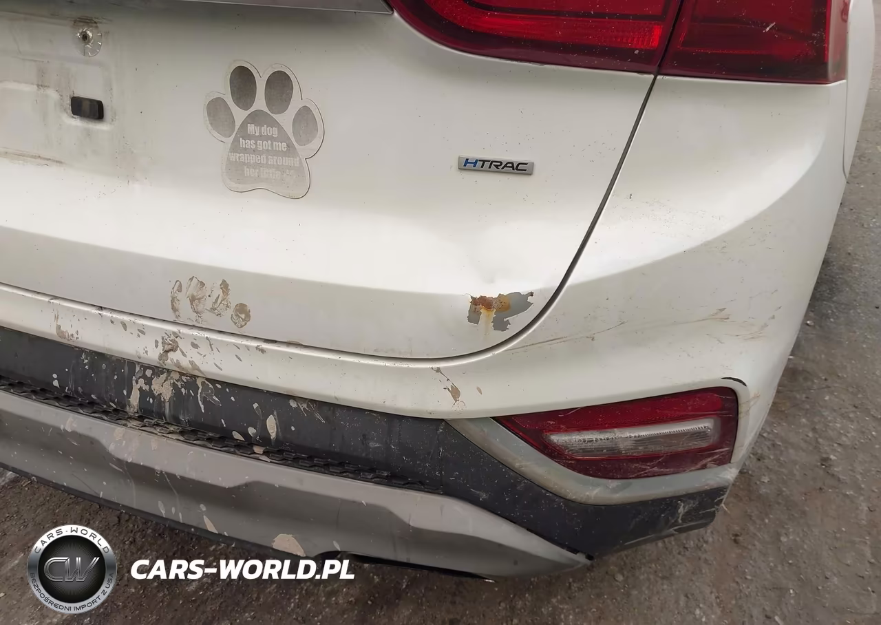 2019 Hyundai Santa Fe Se VIN:5NMS2CAD9KH132280 - 13