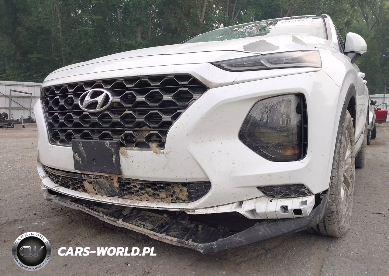 2019 Hyundai Santa Fe Se VIN:5NMS2CAD9KH132280 - 6