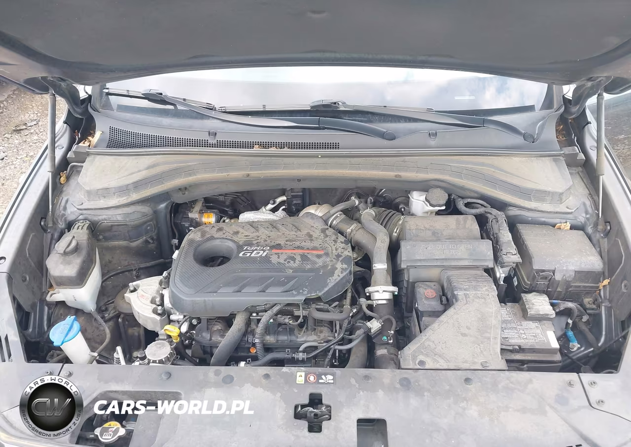 2020 Hyundai Santa Fe Limited 2.0T VIN:5NMS53AAXLH292229 - 10