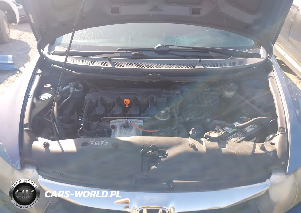 2009 Honda Civic Lx VIN:1HGFA16509L001243 - 9
