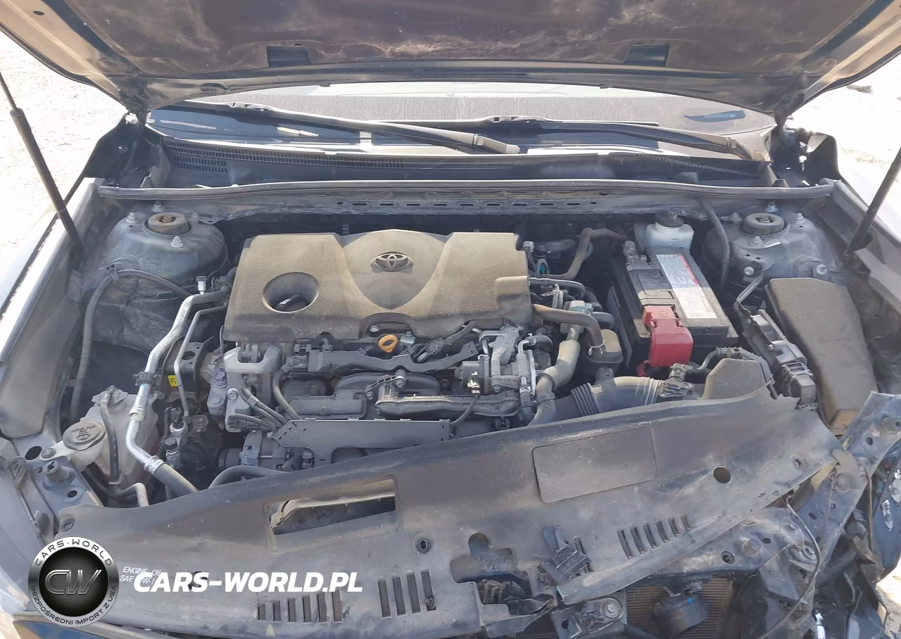 2019 Toyota Camry Se VIN:4T1B11HK8KU737553 - 10